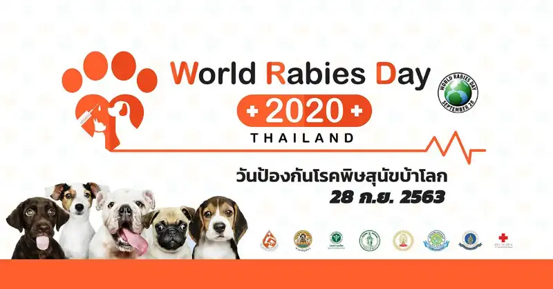 วันป้องกันโรคพิษสุนัขบ้าโลก World Rabies Day 2020 รายชื่อสถานพยาบาลสัตว์ที่ร่วมโครงการ ฉีดวัคซีนป้องกันโรคพิษสุนัขบ้า ฟรี ถึง 30 กันยายน 2563 