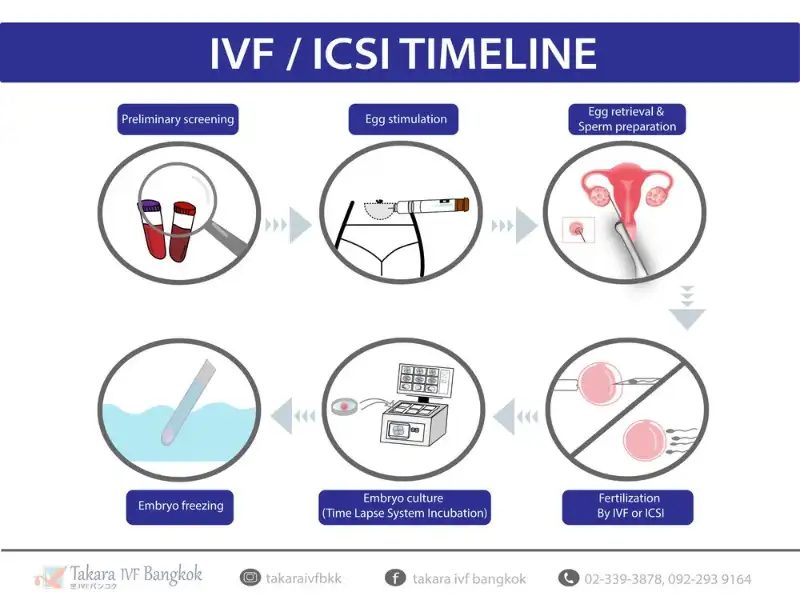 IVF&ICSI Timeline 