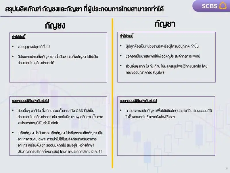 สรุปผลิตภัณฑ์ กัญชงและกัญชา ที่ผู้ประกอบการไทยสามารถทำได้ กัญชาในไทย...รู้ก่อนลงทุน? SCBS Research Team
