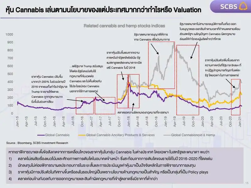 หุ้น Cannabis เล่นตามนโยบายของแต่ประเทศมากกว่ากำไรหรือ Valuation กัญชาในไทย...รู้ก่อนลงทุน? SCBS Research Team