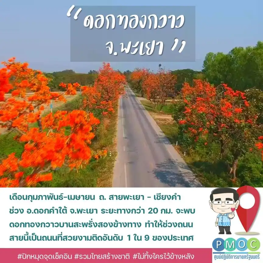 ถนนสีส้มทองกวาว แห่ง อ.ดอกคำใต้ จ.พะเยา 9 เส้นทางดอกไม้งามทั่วไทย เที่ยวได้ทั้งปี