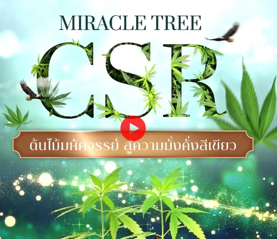 ต้นไม้มหัศจรรย์ Miracle Tree และสิทธิประโยชน์ 