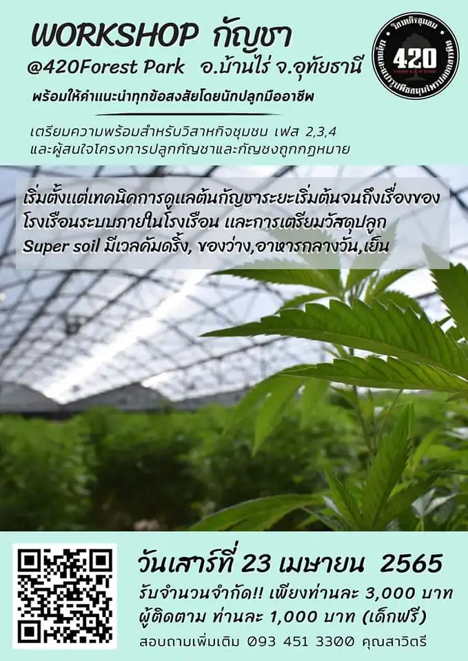 คอร์สอบรมการปลูกกัญชา กัญชง อย่างถูกกฎหมาย บ้านไร่ อุทัยธานี 23 เม.ย.65 จับตางานกิจกรรมกัญชาในไทย ปี 2566