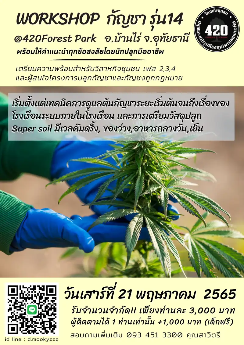 อบรม WORKSHOP กัญชา รุ่นที่ 14 อ.บ้านไร่ จ.อุทัยธานี 21 พ.ค.65 จับตางานกิจกรรมกัญชาในไทย ปี 2566