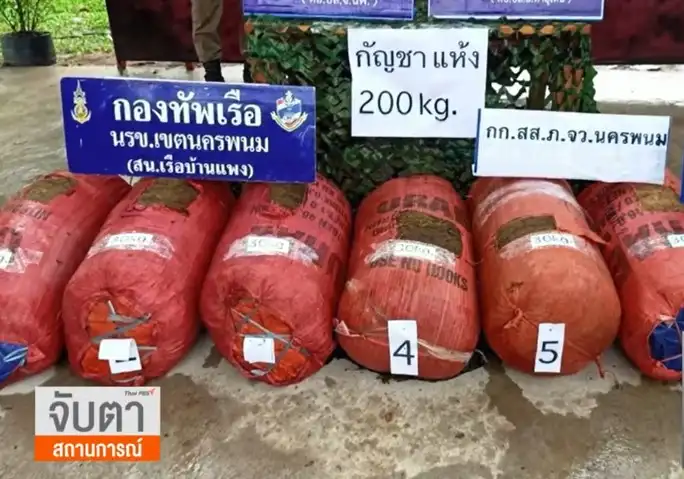 สถานการณ์ลักลอบนำเข้ากัญชา จ.นครพนม Thai PBS ดีเดย์วันนี้ 9 มิ.ย. ปลดล็อกกัญชา ปลูก-บริโภค ถูกกฎหมาย
