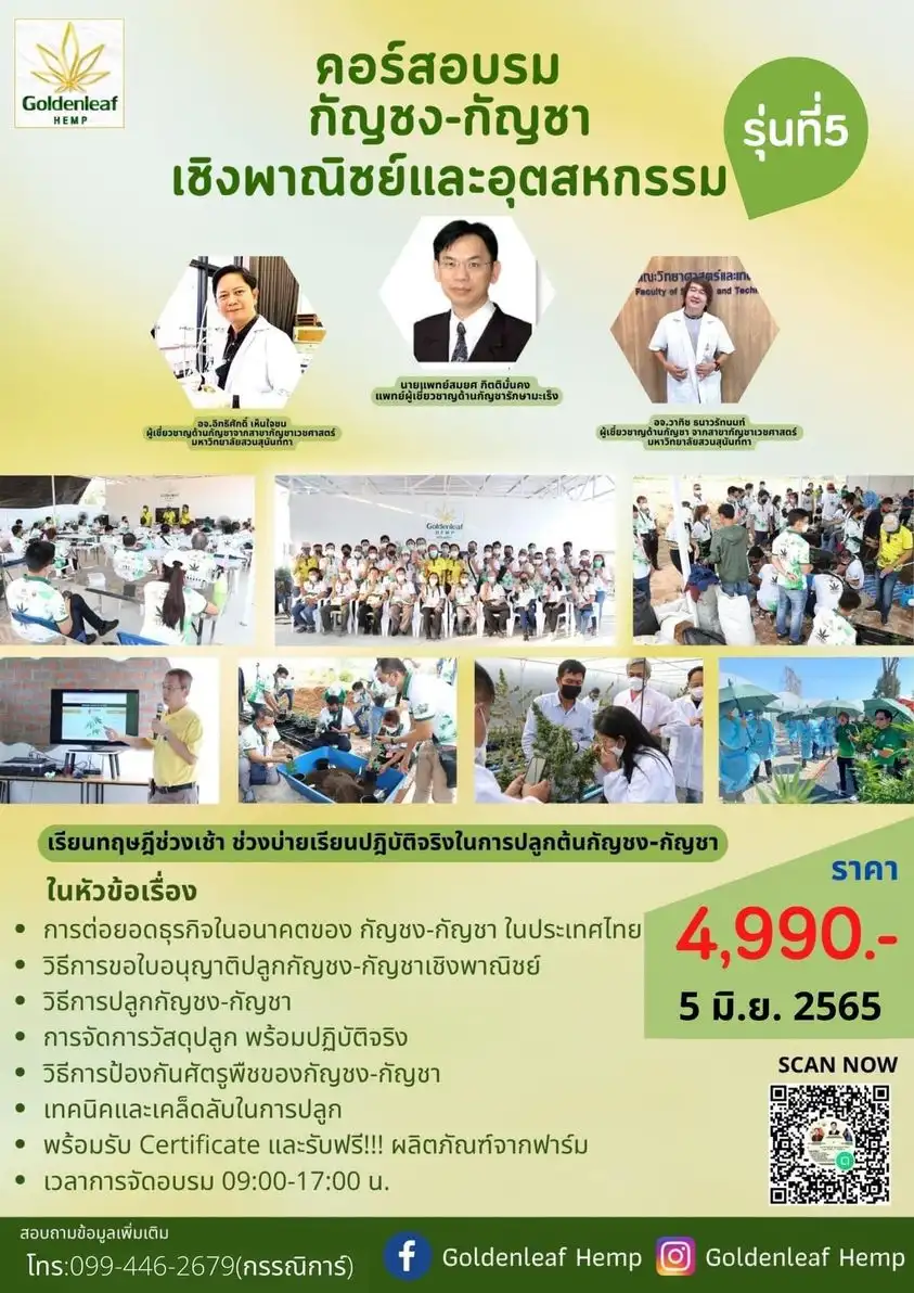คอร์สอบรม กัญชง-กัญชา เชิงพาณิชย์และอุตสาหกรรม รุ่นที่ 5 Goldenleaf Hemp 5 มิ.ย.65 จับตางานกิจกรรมกัญชาในไทย ปี 2566