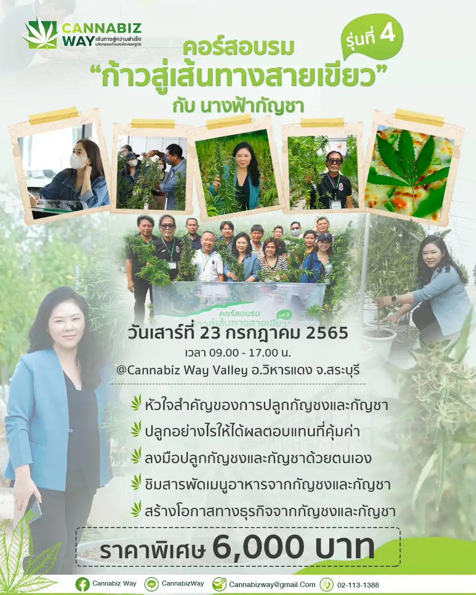 คอร์สอบรม ก้าวสู่เส้นทางสายเขียว รุ่นที่ 4 กับนางฟ้ากัญชา 23 ก.ค.65 จับตางานกิจกรรมกัญชาในไทย ปี 2566