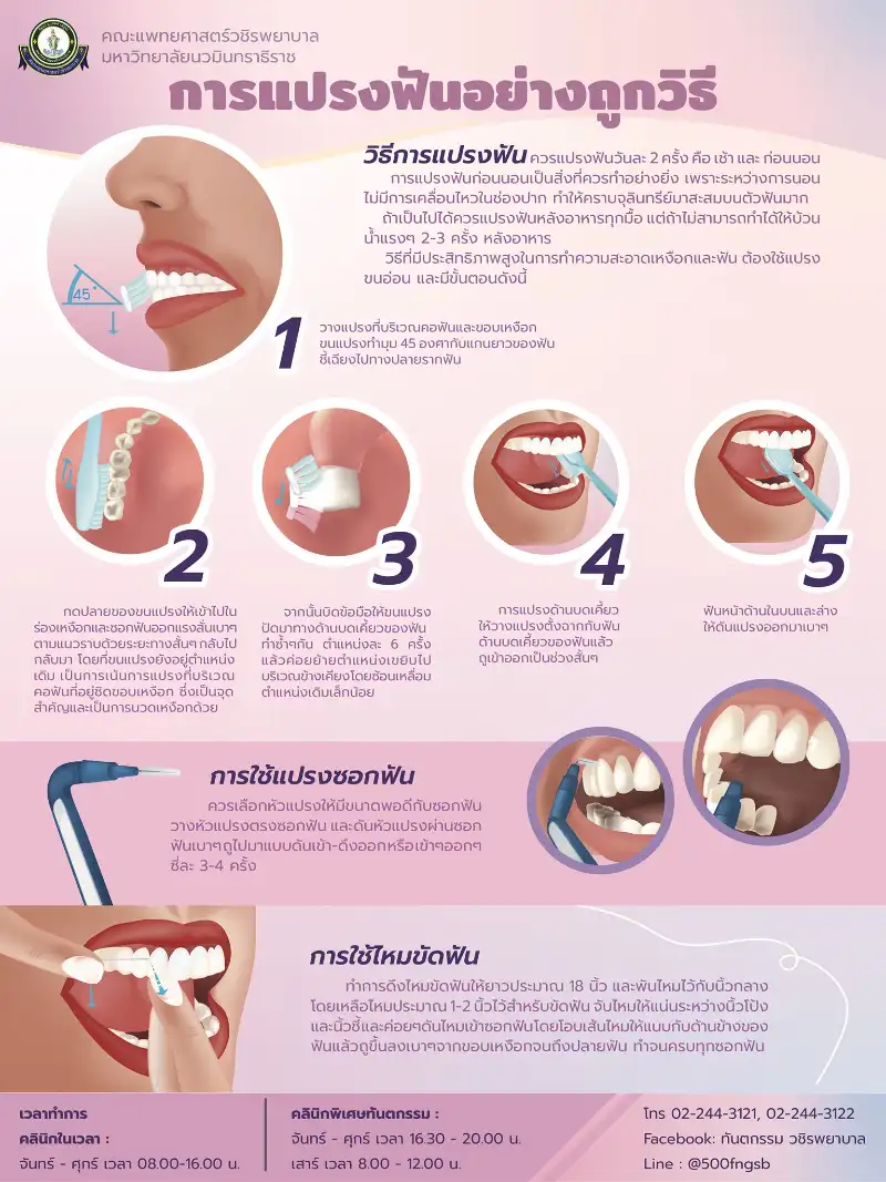 การแปรงฟันให้ถูกวิธี รอบรู้เรื่องทันตกรรม ปากและฟัน (ทันตกรรม วชิรพยาบาล)