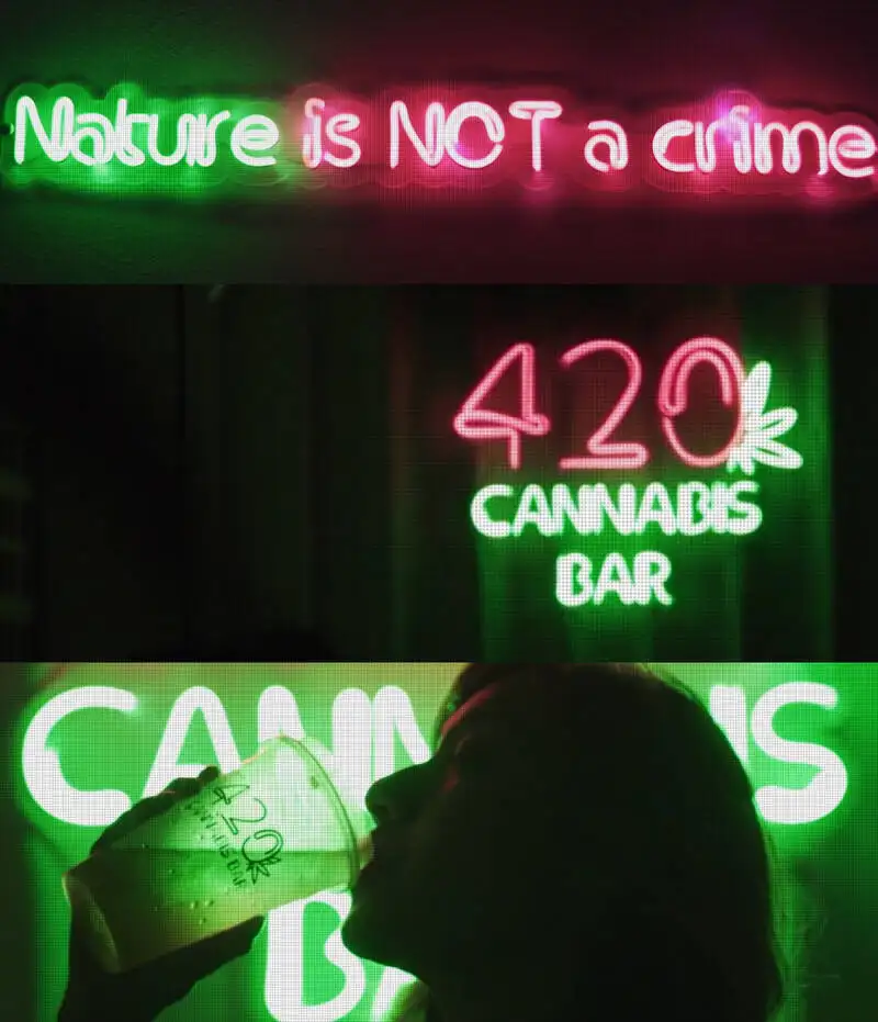 420 Cannabis Bar Bangkok Nature is not a crime  โฟกัสร้านกัญชา เขียวๆ ฮอตๆ สินค้ากัญชาน่าสนใจใกล้ฉัน