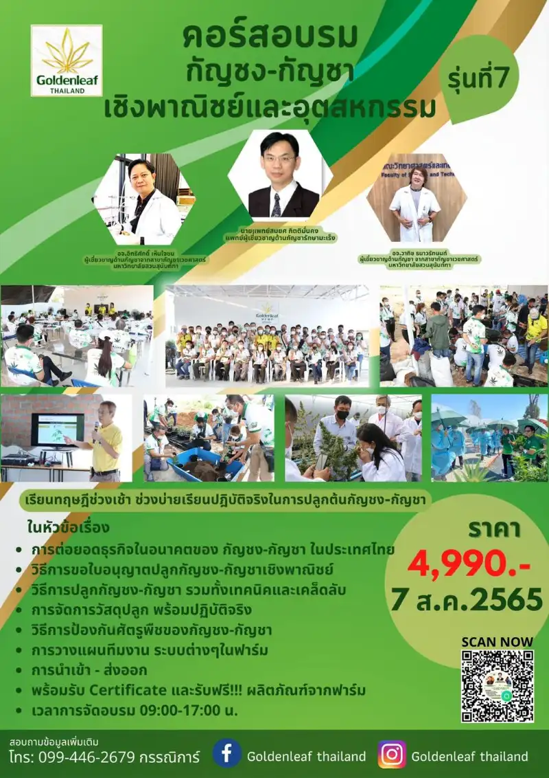 อบรม กัญชง-กัญชา เชิงพาณิชย์และอุตสาหกรรม รุ่นที่ 7 Goldenleaf Hemp - 7 ส.ค.65 จับตางานกิจกรรมกัญชาในไทย ปี 2566