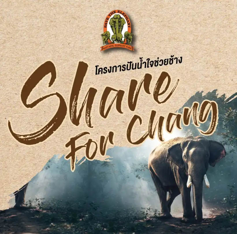 Share For Chang Run 2022- ปันน้ำใจให้ช้าง อาทิตย์ที่ 2 ต.ค.65 [Finished] งานวิ่งในไทยที่จัดและจบไปแล้วในรอบปี 2565