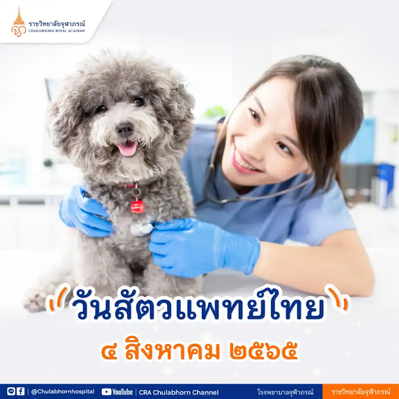 4 สิงหาคม วันสัตวแพทย์ไทย รวมวันสำคัญทางการแพทย์และสาธารณสุขในรอบปี