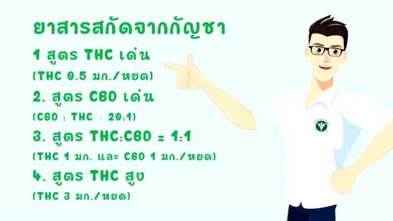 4 สูตรยาสารสกัดกัญชาแผนปัจจุบัน อัศจรรย์กัญชา กัญชาเพื่อประโยชน์ทางการแพทย์ ในระบบสาธารณสุขไทย