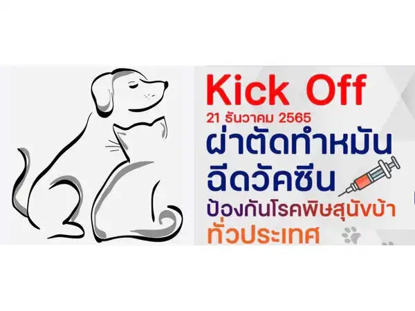 โครงการทำหมันหมาแมว กรมปศุสัตว์ (Kick Off) [จบแล้วเมื่อ 31 มกราคม 66] [จัดไปแล้ว] บริการทำหมันหมาแมว ฟรี ทั่วประเทศ ปี 2566