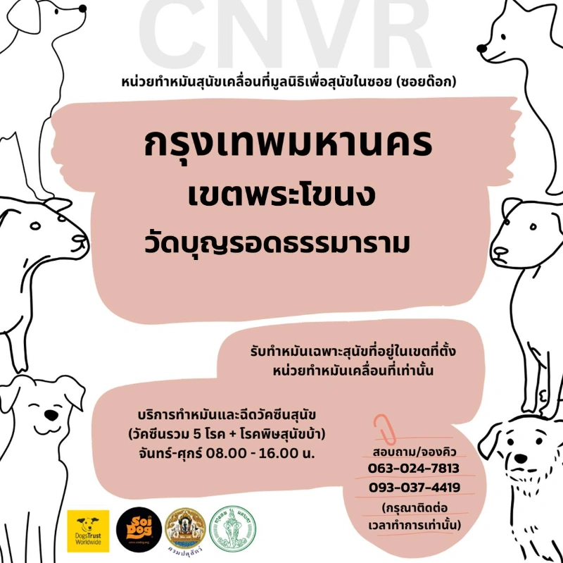 กรุงเทพ พระโขนง จุดบริการหน่วยเคลื่อนที่ทำหมันสุนัข มูลนิธิเพื่อสุนัขในซอย (ซอยด๊อก) ปี 2567