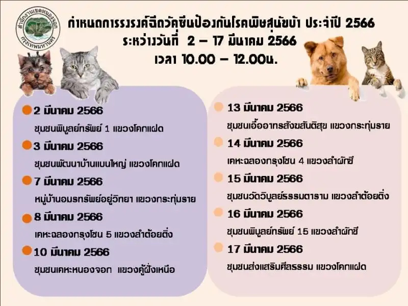 เขตหนองจอก  [จัดไปแล้ว] บริการฉีดวัคซีน​โรคพิษ​สุนัข​บ้าให้หมาแมว ฟรี ในกทม.และทั่วประเทศ ปีนี้ (2566)