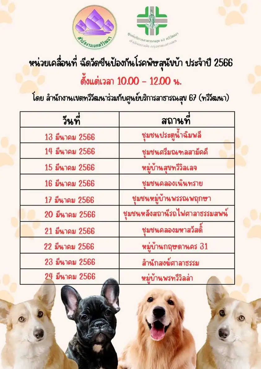 เขตทวีวัฒนา [จัดไปแล้ว] บริการฉีดวัคซีน​โรคพิษ​สุนัข​บ้าให้หมาแมว ฟรี ในกทม.และทั่วประเทศ ปีนี้ (2566)