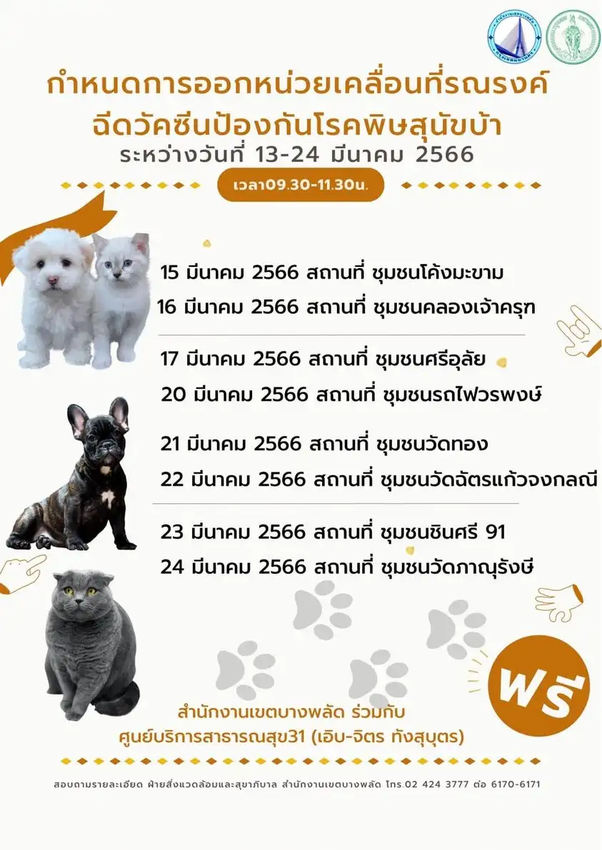 เขตบางพลัด 15-17 และ 20-24 มีนาคม 66 [จัดไปแล้ว] บริการฉีดวัคซีน​โรคพิษ​สุนัข​บ้าให้หมาแมว ฟรี ในกทม.และทั่วประเทศ ปีนี้ (2566)