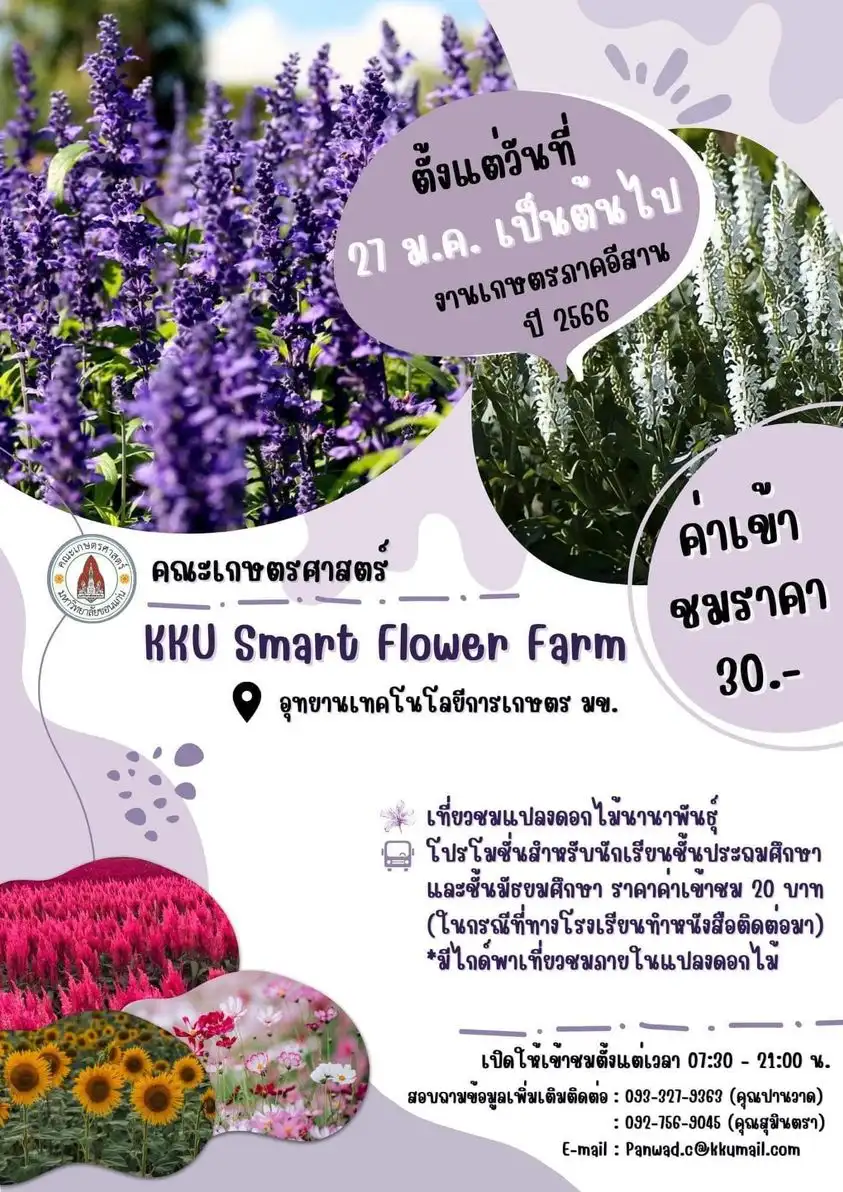 KKU SMART FLOWER FARM 2023 เปิดให้เข้าชมตั้งแต่วันที่ 27 มกราคม 2566 เป็นต้นไป  [Archive] กิจกรรมเทศกาลในจ.ขอนแก่น ที่จัดไปแล้ว