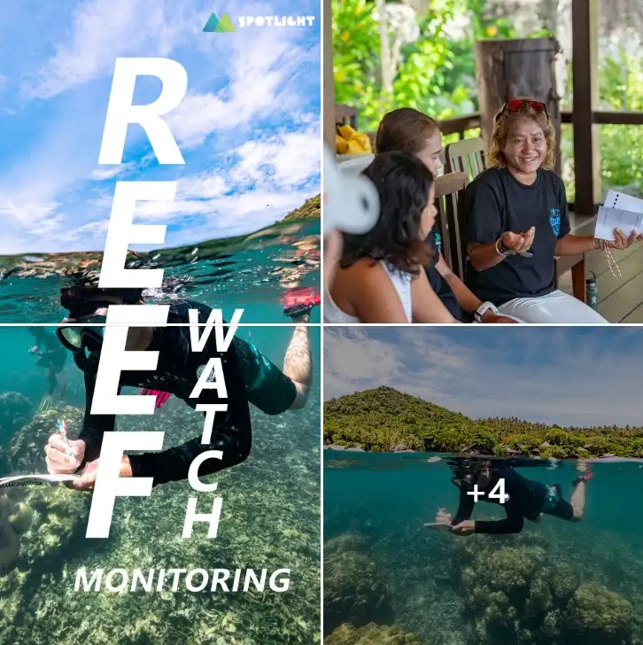 Reef Watch Monitoring สวมบทคุณหมอช่วยกันดูแลสุขภาพปะการัง Koh Tao’s SPOTLIGHT FEST เที่ยวแบบอบอุ่น กิจกรรมธรรมชาติยั่งยืน สไตล์ชาวเกาะเต่า! 