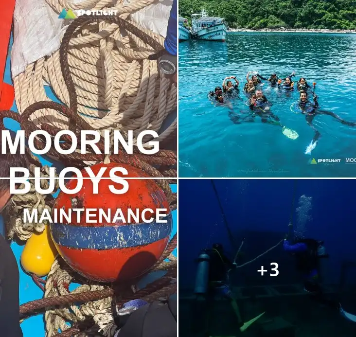 Mooring Buoys Maintenance เปิดประสบการณ์การเรียนรู้ “วิธีผูกและดูแลรักษาทุ่นจอดเรือ” Koh Tao’s SPOTLIGHT FEST เที่ยวแบบอบอุ่น กิจกรรมธรรมชาติยั่งยืน สไตล์ชาวเกาะเต่า! 