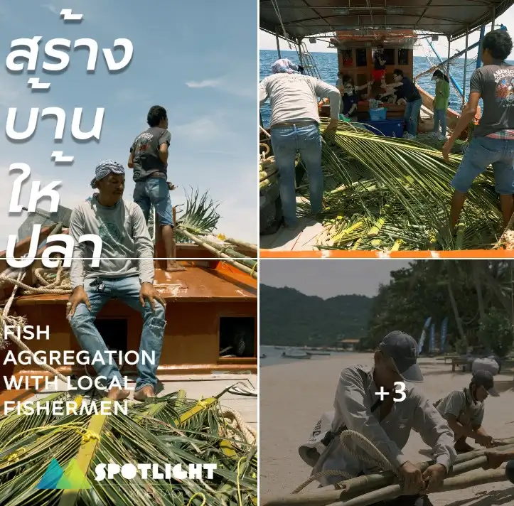 Fish Aggregation with Local Fishermen  มาดูเร็ว! พวกเราจะสร้างบ้านให้ปลา Koh Tao’s SPOTLIGHT FEST เที่ยวแบบอบอุ่น กิจกรรมธรรมชาติยั่งยืน สไตล์ชาวเกาะเต่า! 