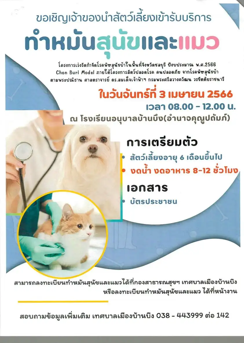 3 เม.ย.66 เทศบาลเมืองบ้านบึง บริการทำหมันสุนัขและแมว ฟรี   [จัดไปแล้ว] บริการทำหมันหมาแมว ฟรี ทั่วประเทศ ปี 2566