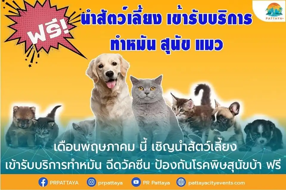 3,8,10,11 พ.ค.66 พัทยา ให้บริการทำหมันหมาแมว [จัดไปแล้ว] บริการทำหมันหมาแมว ฟรี ทั่วประเทศ ปี 2566