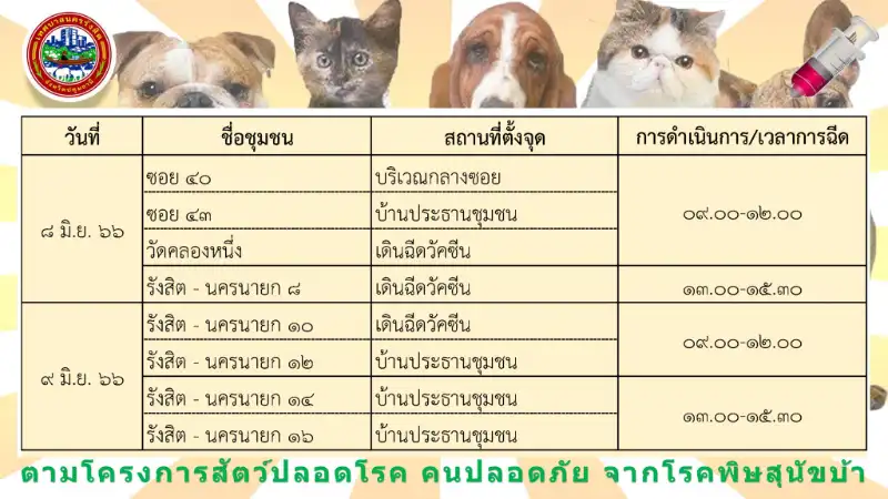  เทศบาลนครรังสิต ชวนนำหมาแมว มาฉีดวัคซีนป้องกันโรคพิษสุนัขบ้า ฟรี ถึง 25 ก.ค.66