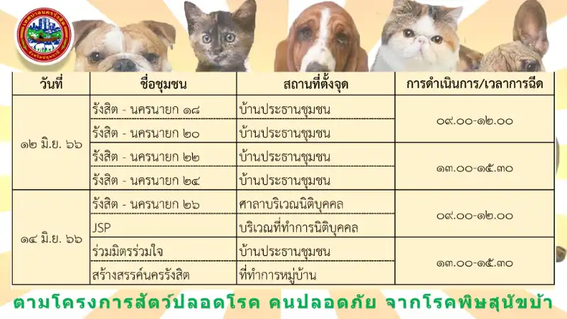  เทศบาลนครรังสิต ชวนนำหมาแมว มาฉีดวัคซีนป้องกันโรคพิษสุนัขบ้า ฟรี ถึง 25 ก.ค.66