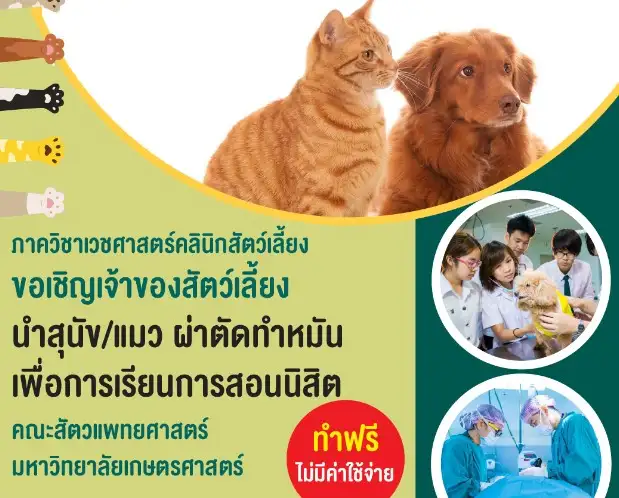 12-26 ก.ย.66 คณะสัตวแพทยศาสตร์ ม.เกษตร บริการทำหมันหมาแมวฟรี ทำหมันหมาแมว ฟรี ทั่วไทย ปี 2566 มีที่ไหนบ้าง