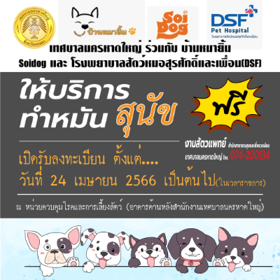 เทศบาลนครหาดใหญ่ ให้บริการทำหมันแมว ฟรี!! ทำหมันหมาแมว ฟรี ทั่วไทย ปี 2567 มีที่ไหนบ้าง