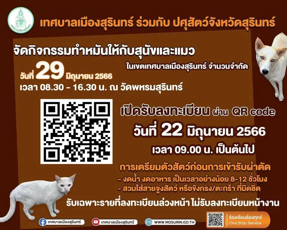 29 มิถุนายน 2566 เทศบาลเมืองสุรินทร์ จัดกิจกรรมทำหมันให้กับสุนัขและแมว [จัดไปแล้ว] บริการทำหมันหมาแมว ฟรี ทั่วประเทศ ปี 2566