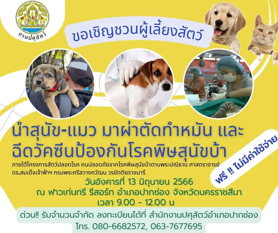 13 มิ.ย.66 ปศุสัตว์อำเภอปากช่อง บริการทำหมันฉีดวัคซีนสุนัขแมว ฟรี [จัดไปแล้ว] บริการทำหมันหมาแมว ฟรี ทั่วประเทศ ปี 2566