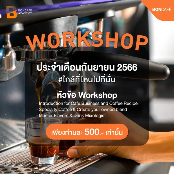 Boncafe Thailand Workshop เดือนกันยายน 8 จังหวัด ท่านละ 500 [Archive] สอนชงกาแฟ workshop