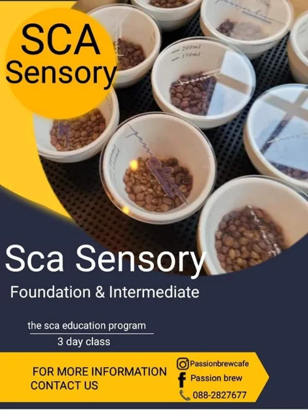 SCA sensory F&i 4 Day นครสวรรค์ 30 กค.- 2 สค. [Archive] สอนชงกาแฟ workshop