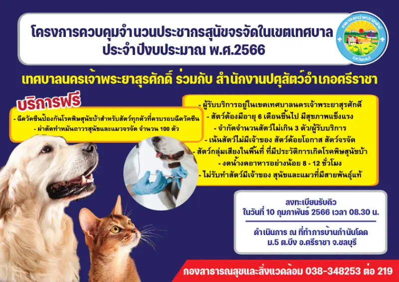 10 ก.พ.66 เทศบาลนครเจ้าพระยาสุรศักดิ์ ผ่าตัดทำหมัน ฉีดวัคซีนป้องกันโรคพิษสุนัขบ้า ฟรี 100 ตัว [จัดไปแล้ว] บริการทำหมันหมาแมว ฟรี ทั่วประเทศ ปี 2566