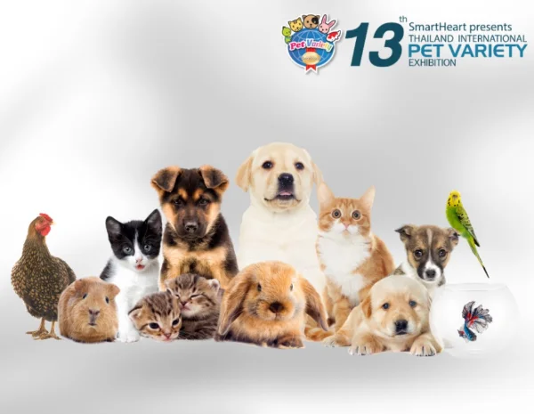 Pet Variety Exhibition 2023 #13 วันที่ 5-8 ตุลาคม 2566 @อิมแพ็ค กิจกรรม งานแฟร์สัตว์เลี้ยง ปี 2566