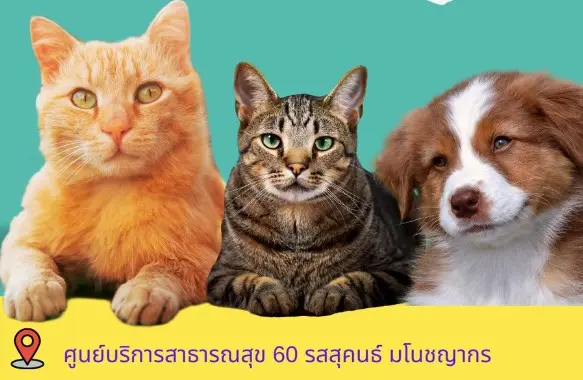 4-15 ก.ย.66@เขตดอนเมือง [จัดไปแล้ว] บริการฉีดวัคซีน​โรคพิษ​สุนัข​บ้าให้หมาแมว ฟรี ในกทม.และทั่วประเทศ ปีนี้ (2566)