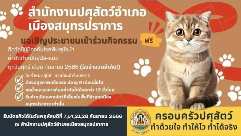 ปศุสัตว์อำเภอเมืองสมุทรปราการ ทำหมันหมาแมวฟรี ตลอดเดือนกันยายน 66 ทำหมันหมาแมว ฟรี ทั่วไทย ปี 2566 มีที่ไหนบ้าง
