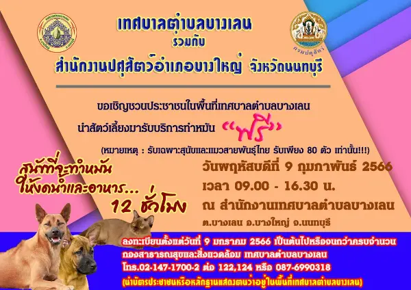 9 กุมภาพันธ์ 2566 เทศบาลตำบลบางเลน ทำหมันสุนัข ฟรี ข่าวสารบริการทำหมันสุนัขแมว ฟรี ในจ.นนทบุรี ประจำปี 2566