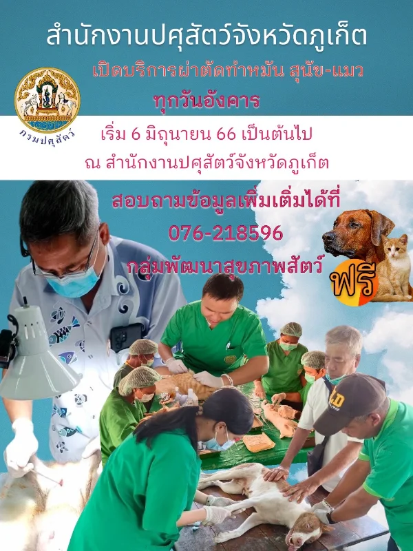 ปศุสัตว์ภูเก็ต เปิดบริการทำหมัน น้องหมา -แมว ฟรี ทุกวันอังคาร ทำหมันหมาแมว ฟรี ทั่วไทย ปี 2567 มีที่ไหนบ้าง