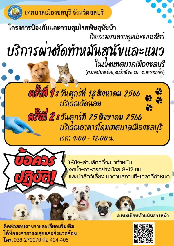 เทศบาลเมืองชลบุรี ทำหมันสุนัขแมว ฟรี 18 & 25 สิงหาคม 2566 [จัดไปแล้ว] บริการทำหมันหมาแมว ฟรี ทั่วประเทศ ปี 2566