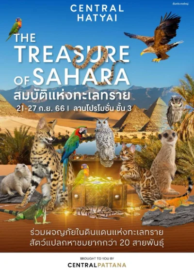 งาน The Treasure of Sahara 21-27 กันยายน 2566 [Archive] งานแฟร์สัตว์เลี้ยง กิจกรรมสัตว์เลี้ยง ในไทยที่จัดไปปีที่ผ่านมา