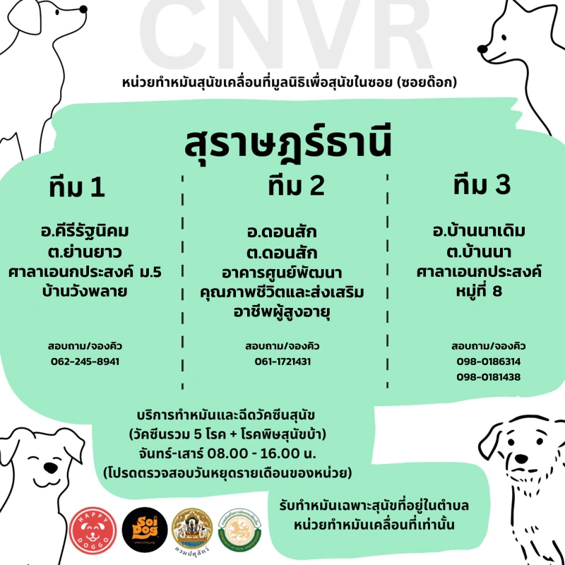 สุราษฎร์ธานี ทีม 1 คีรีรัฐนิคม ทีม 2 ดอนสัก  ทีม 3 บ้านนาเดิม 