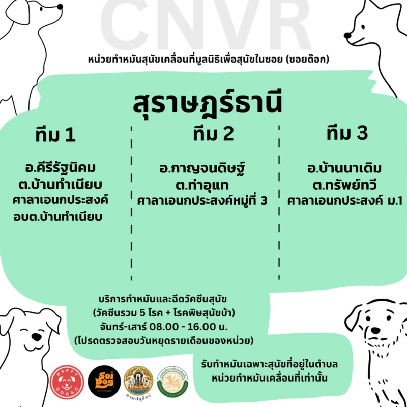 สุราษฎร์ธานี ทีม 1 ทีม 2 ทีม 3 จุดบริการหน่วยเคลื่อนที่ทำหมันสุนัข มูลนิธิเพื่อสุนัขในซอย (ซอยด๊อก) ปี 2567