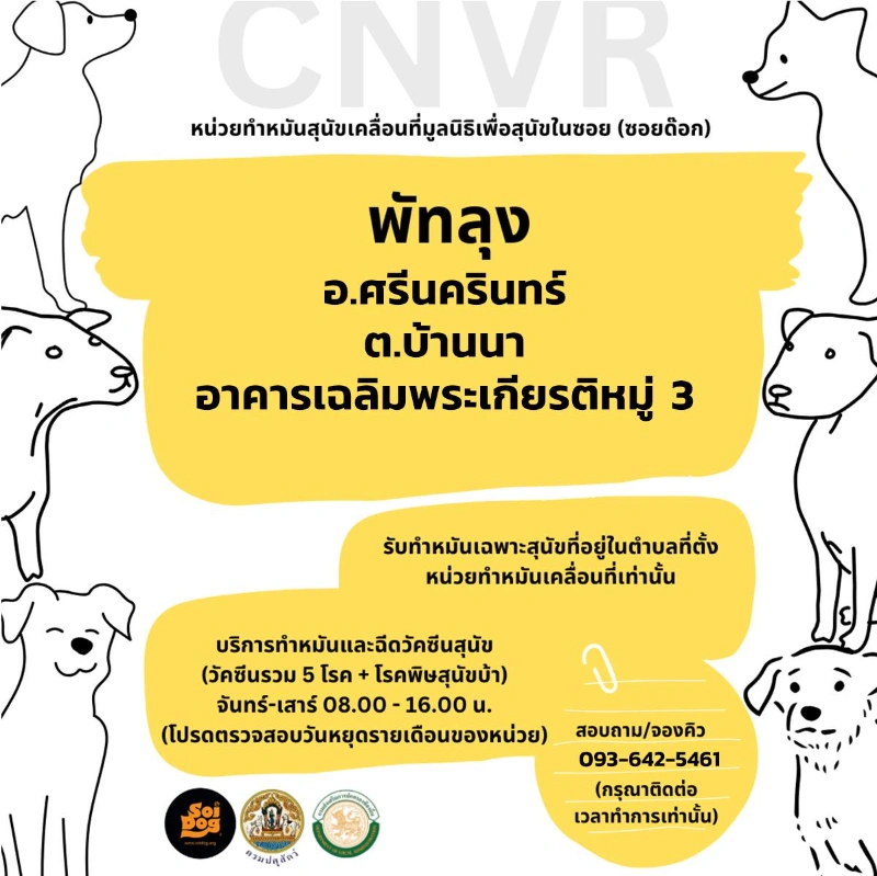 พัทลุง จุดบริการหน่วยเคลื่อนที่ทำหมันสุนัข มูลนิธิเพื่อสุนัขในซอย (ซอยด๊อก) ปี 2567