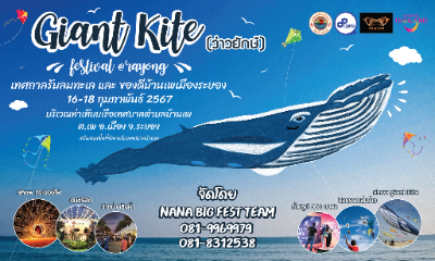 Giant Kite festival @ Rayong เทศกาลว่าวนานาชาติ ระยอง 16 - 18 กุมภาพันธ์ 2567 [Archive] กิจกรรมท่องเที่ยว ระยอง