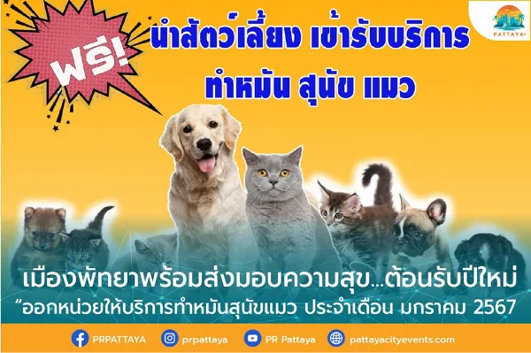 เมืองพัทยา จัดหน่วยบริการทำหมันสุนัขแมว กุมภาพันธ์ 2567 ทำหมันหมาแมว ฟรี ทั่วไทย ปี 2567 มีที่ไหนบ้าง