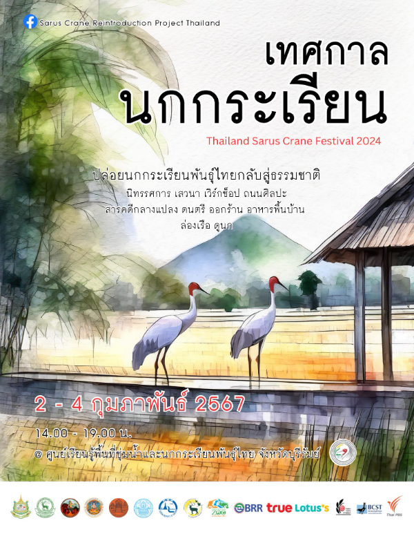 เทศกาลนกกระเรียน 2567 (Thailand Sarus Crane Festival 2024) 2 - 4 กุมภาพันธ์ 2567  ปฏิทินกิจกรรม เทศกาลท่องเที่ยว จ.บุรีรัมย์